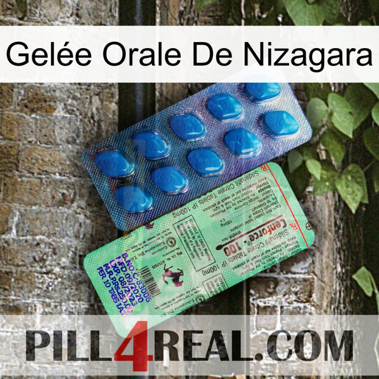 Gelée Orale De Nizagara new02